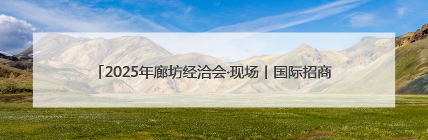 2025年廊坊经洽会·现场丨国际招商“磁力”足 外商争相向河北推介项目